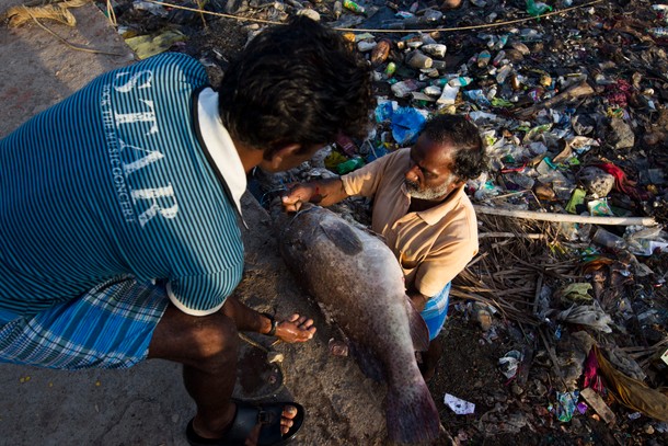 Port Blair, wyspiarska stolica Andamanów i port przesiadkowy dla turystów, to miejsce pełne blaszanych slumsów, śmieci i bezdomnych żebraków