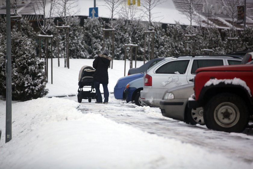 Gdańsk wydał tej zimy na walkę z jej skutkami już 7 mln zł