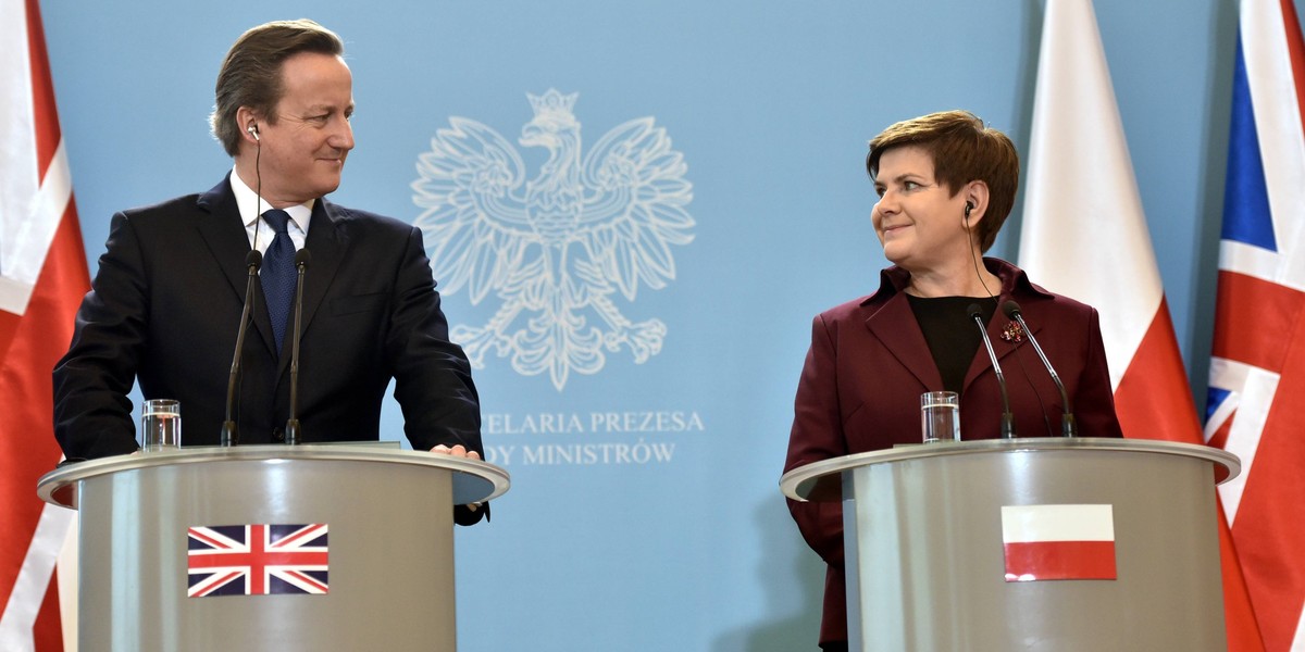 DAVID CAMERON W POLSCE