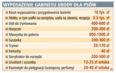 Psi Fryzjer Zacznie Zarabiac Po Pol Roku Gazetaprawna Pl