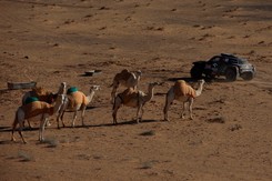 Rajd Dakar. Przygoński miał awarię. Stracił sporo czasu