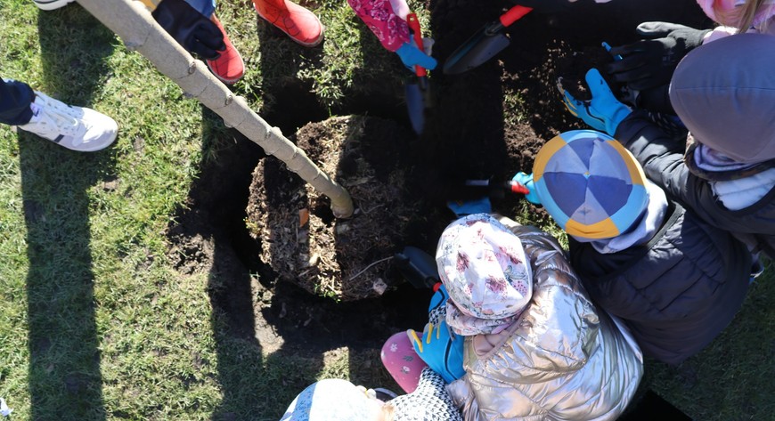Wraz z grupą Smerfów, czyli dziećmi z sąsiadującego Przedszkola nr 51, udało się posadzić 97., 98., 99. i setne drzewo na terenie Aquaparku Brochów. 