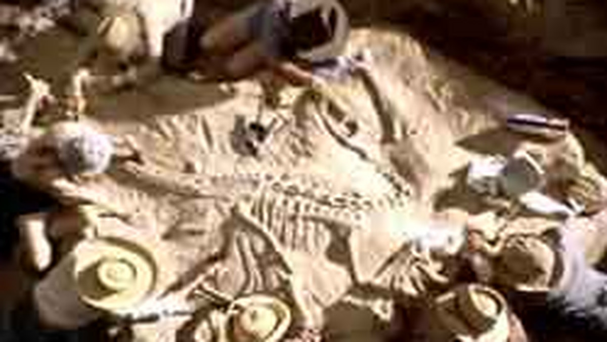 Według nieoficjalnych informacji zdjęcia do czwartej części "Jurassic Park" rozpoczną się w grudniu 2005 roku i potrwają do kwietnia.