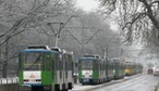 Wstrzymano wszystkie tramwaje. Szczecin nie razi sobie z fatalną pogodą