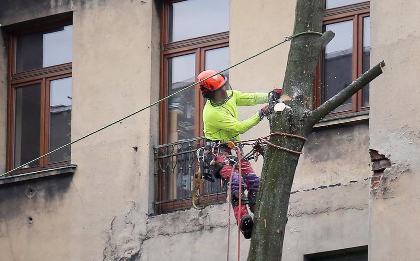 Zastali Polskę w ruinach, a zostawią w trocinach