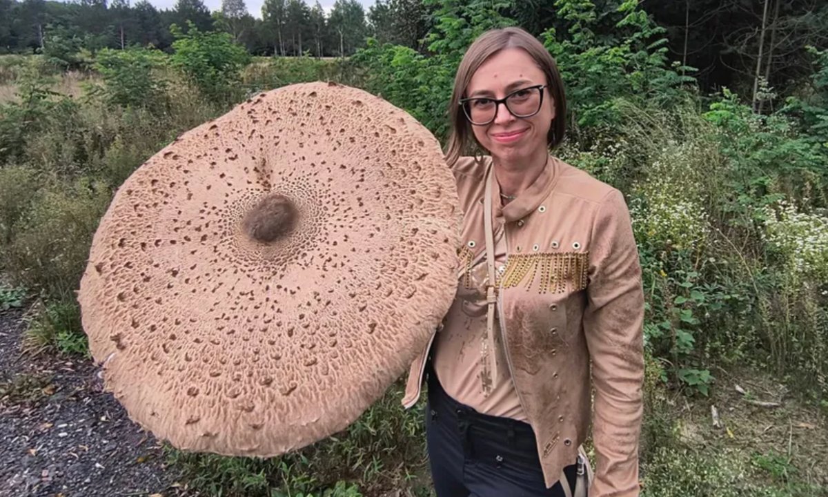 Pokazała, co znalazła w lesie. Internauci w szoku. "Chyba największa, jaką widziałem na żywo"