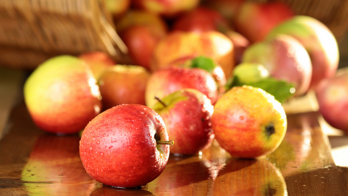Rosja może wprowadzić zakaz importu owoców i warzyw z Serbii z powodu domniemanego reeksportu jabłek z Polski - podała dzisiaj agencja RIA-Nowosti, powołując się na Federalną Służbę Nadzoru Weterynaryjnego i Fitosanitarnego (Rossielchoznadzor).