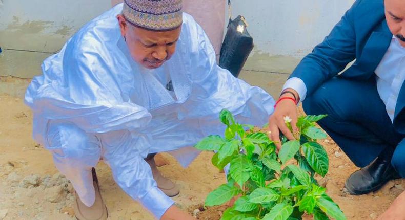 Kebbi govt allocates land for WACOT Rice Academy project. [NAN]