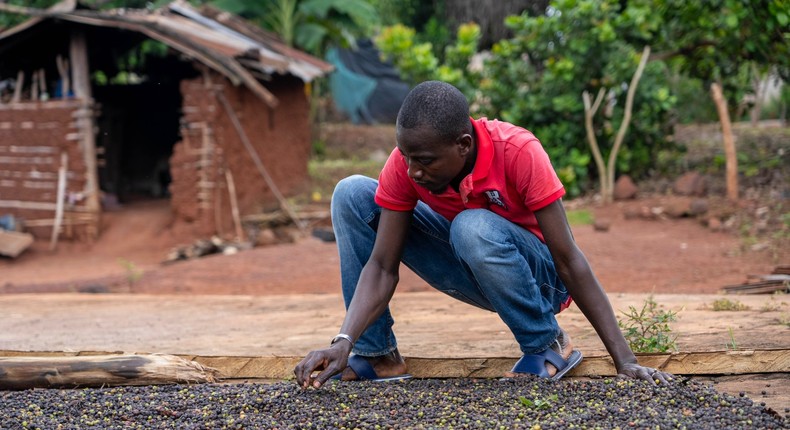 Le Nescafé Plan : Une initiative pour un café durable et un développement communautaire