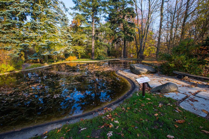 Ogród Botaniczny będzie czynny całą zimę