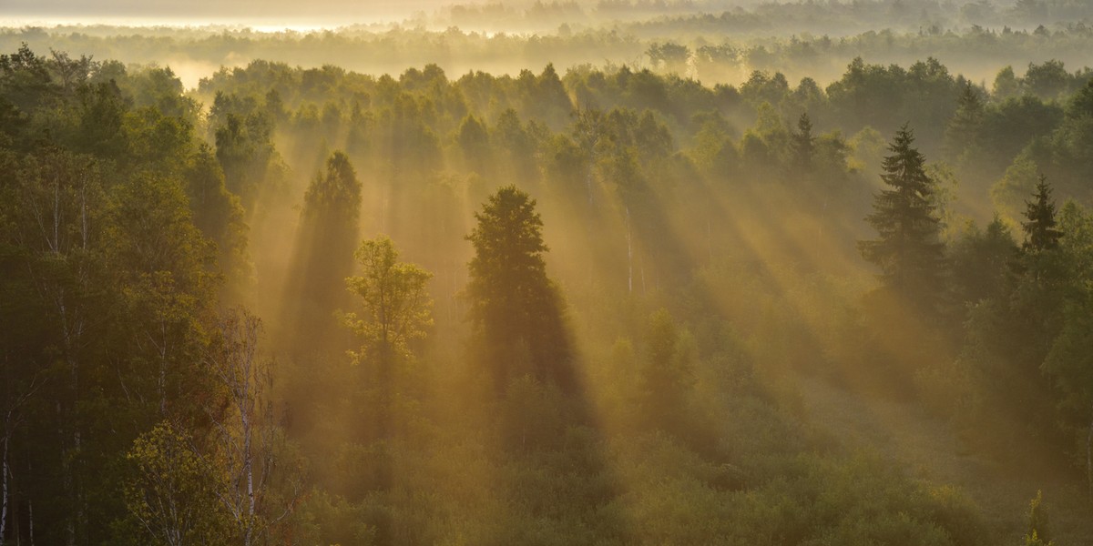 Parki narodowe, rezerwaty przyrody, parki krajobrazowe w Polsce