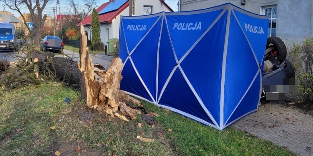 Śmiertelny wypadek w Ścinawie. Kierowca zginał na miejscu