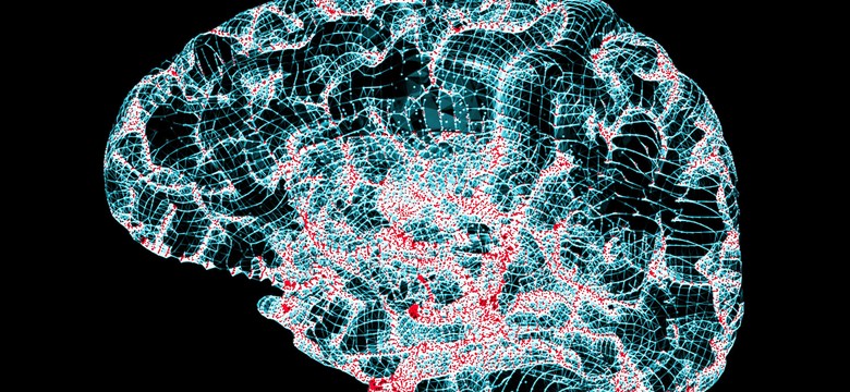 W trakcie snu można leczyć alzheimera. „Mózg zamienił się w usuwającą amyloid pralkę”