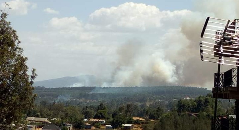 A section of Ngong Forest on fire (Twitter)