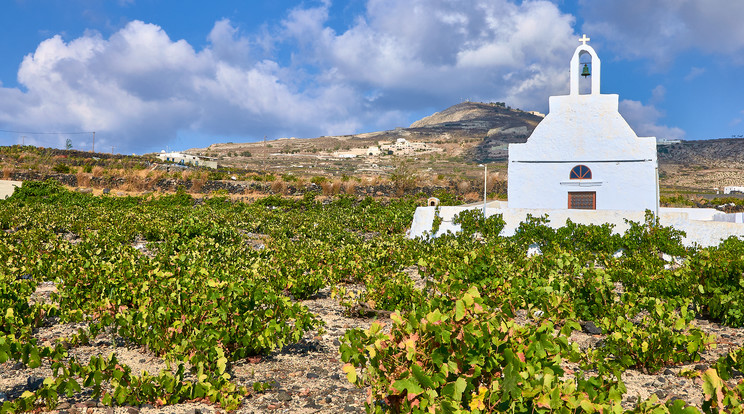 A görög szigeteken is készülnek finom, karakteres borok Fotó: Shutterstock