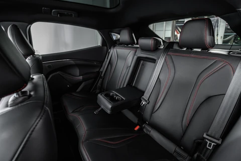 Ford Mustang Mach E Wjezdza Do Polski W Cenie Darmowe Ladowanie I Zasieg 610 Km Dziennik Pl