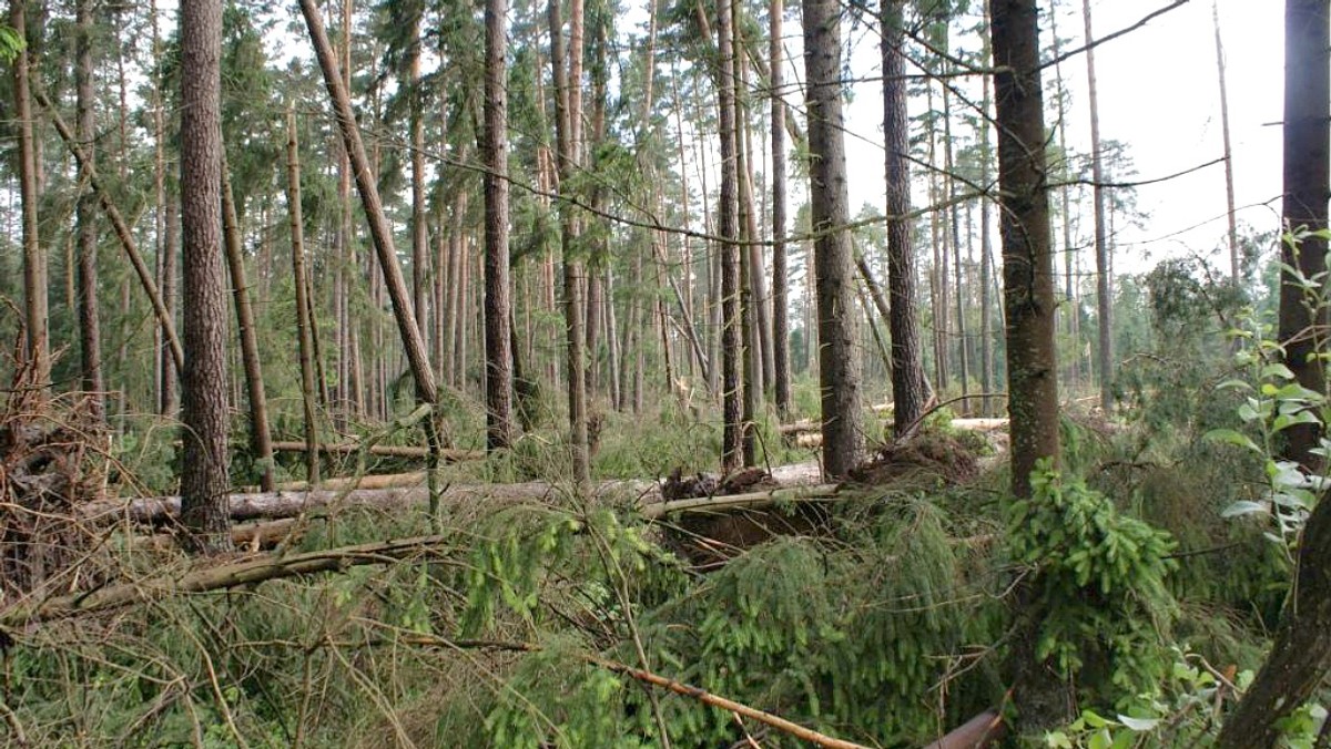 Nawałnice, które ostatnio przetoczyły się przez woj. podlaskie, wyrządziły duże szkody 