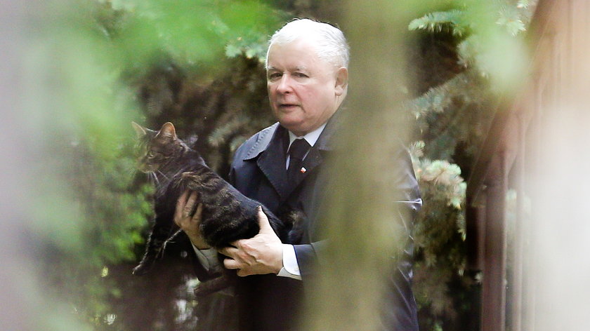 Jarosław Kaczyński z kotem