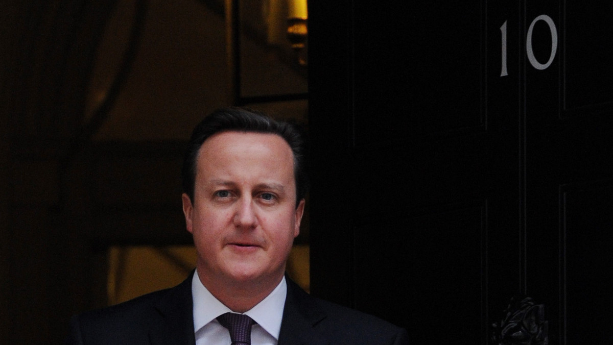 Brytyjscy analitycy, komentatorzy i politycy są podzieleni w ocenie planów premiera Davida Camerona dotyczących przyszłości W. Brytanii w UE lub poza Unią. Różnie oceniane są też szanse przystania UE na podejście Londynu do członkostwa i unijnych traktatów.
