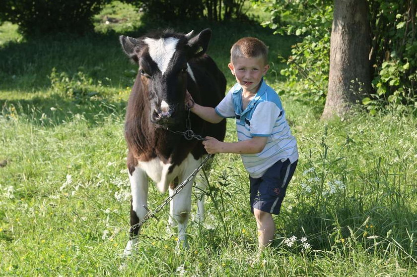 W wakacje będę pomagał ojcu w polu