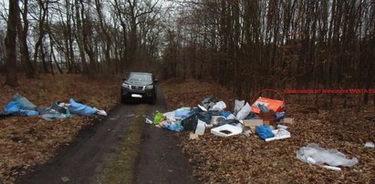 Małopolska. Rekordowa kara za zaśmiecanie lasu