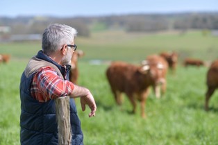 Wzrost ubóstwa skrajnego jest największy wśród rolników i rencistów