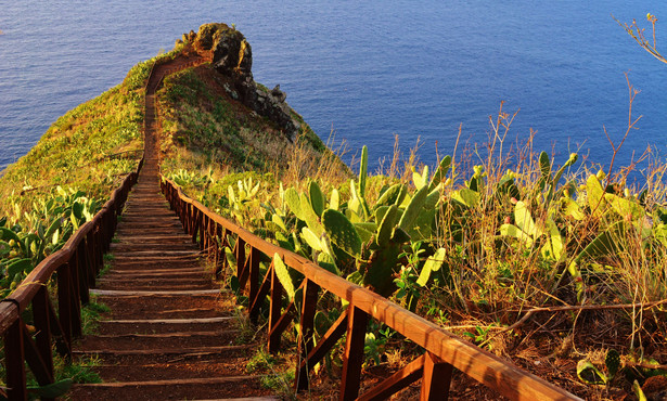 Madera nazywana jest wyspą wiecznej wiosny