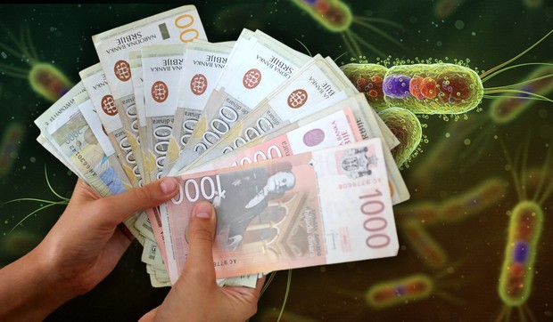 Novac je idealno mesto za naseljavanje virusa, bakterija i gljivica