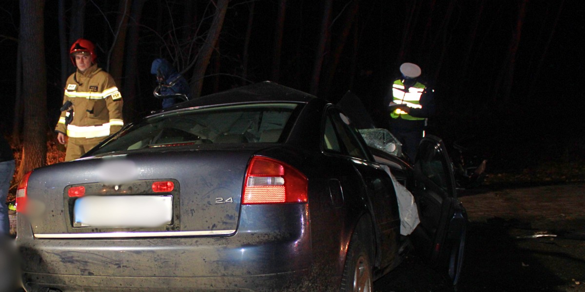 Tragiczny wypadek na DK94 - kierowca audi nie żyje