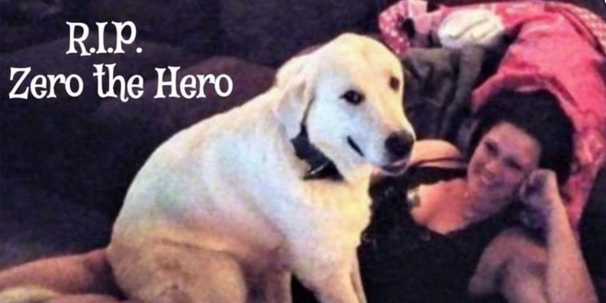 Pies uratował rodzinę przed śmiercią 