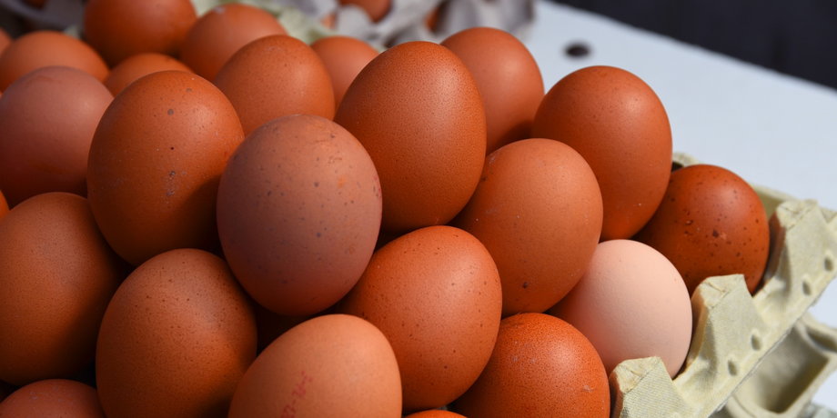 Na duże spadki unijnego wywozu jaj w skorupkach wpłynęło kilka czynników