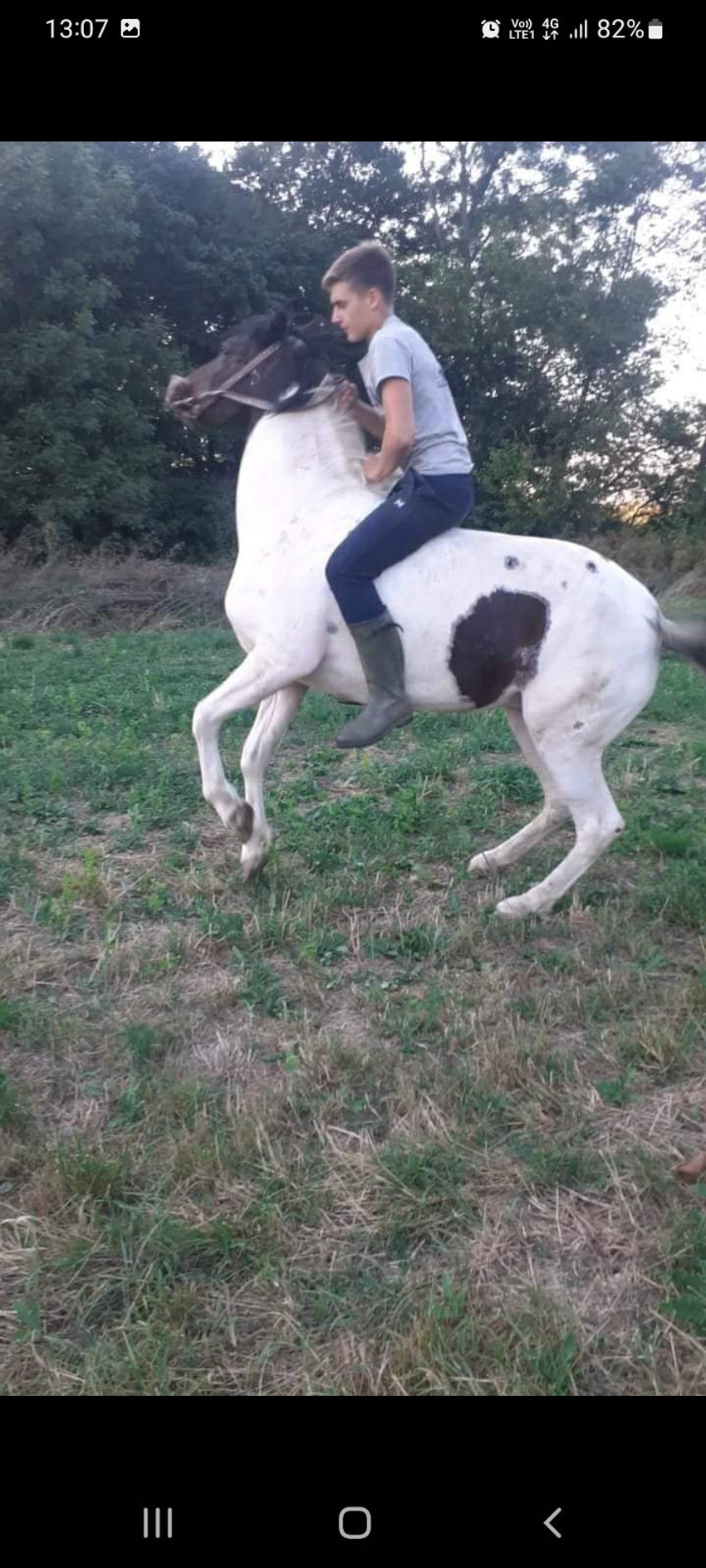 Ovo domaćinstvo u vlasništvu je Tamare Vujić