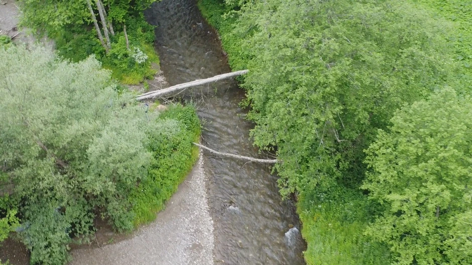 Meštani mogu preći reku samo preko debla