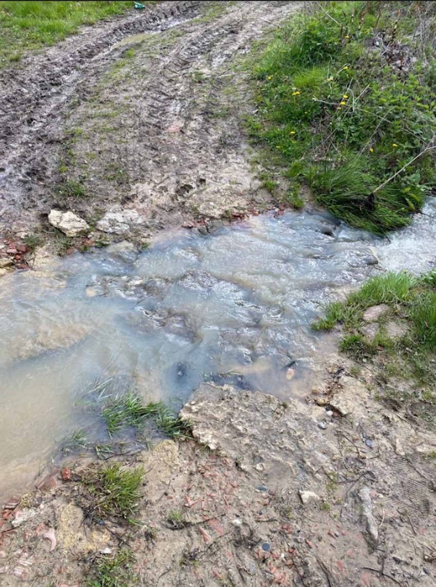 Marko i Divna DNK kuća