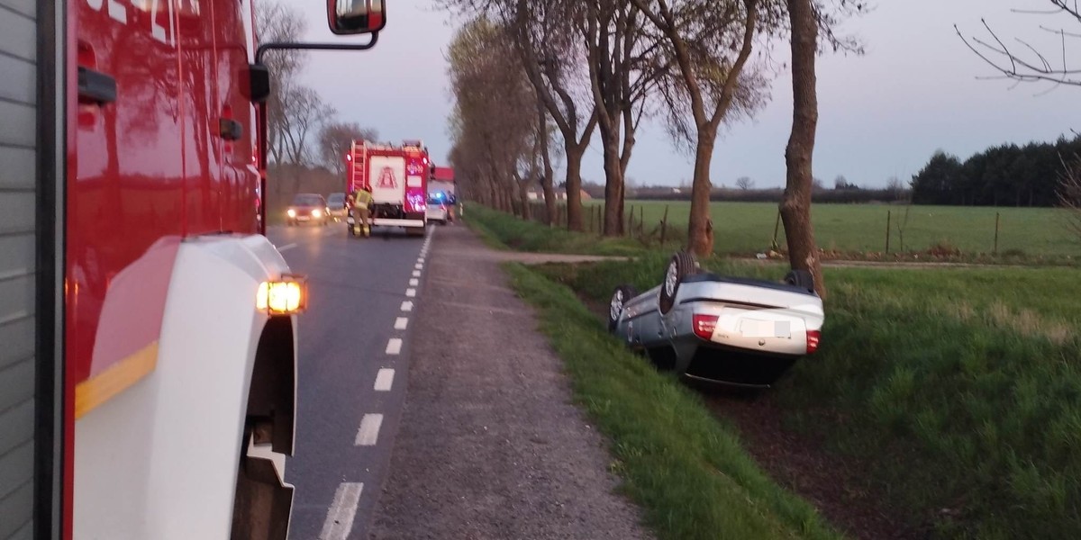 Samochód ciężarowy uderzył w łosia na drodze krajowej numer 62 niedaleko Serocka.