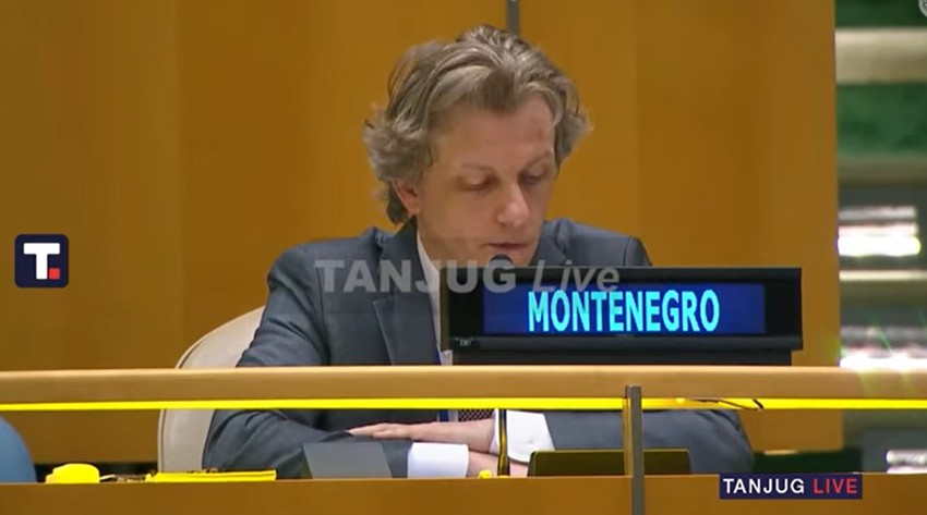 Predstavnik Crne Gore Damir Šabanović