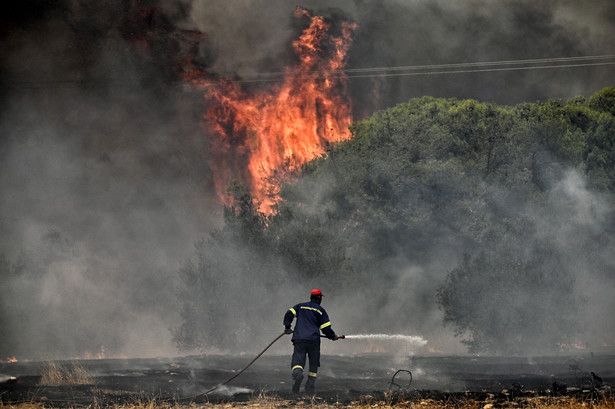 Strażak walczy z pożarem lasu, Loutraki, Grecja, 18 lipca 2023 r.
