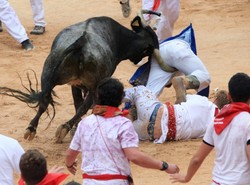 Pierwsze ofiary byków w Pampelunie
