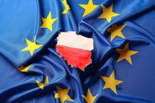 Jak utracić wpływy w UE