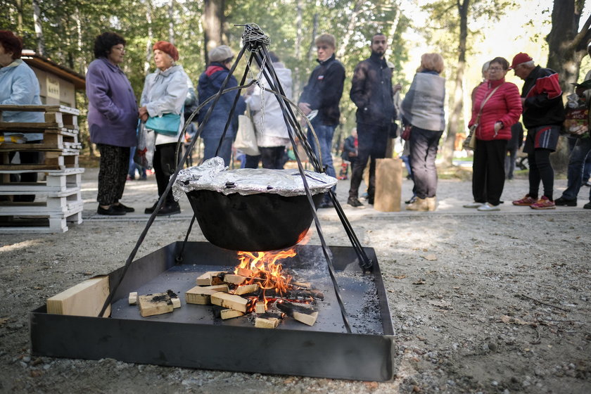 Dąbrowa Górnicza. Otwarcie Parku Zielona po przebudowie