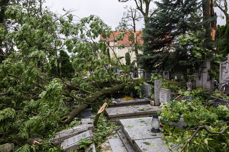 GNIEZNO CMENTARZ ZNISZCZENIA PO NAWAŁNICY (zniszczenia na cmentarzu)