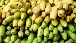 Which bananas are healthiest for you?