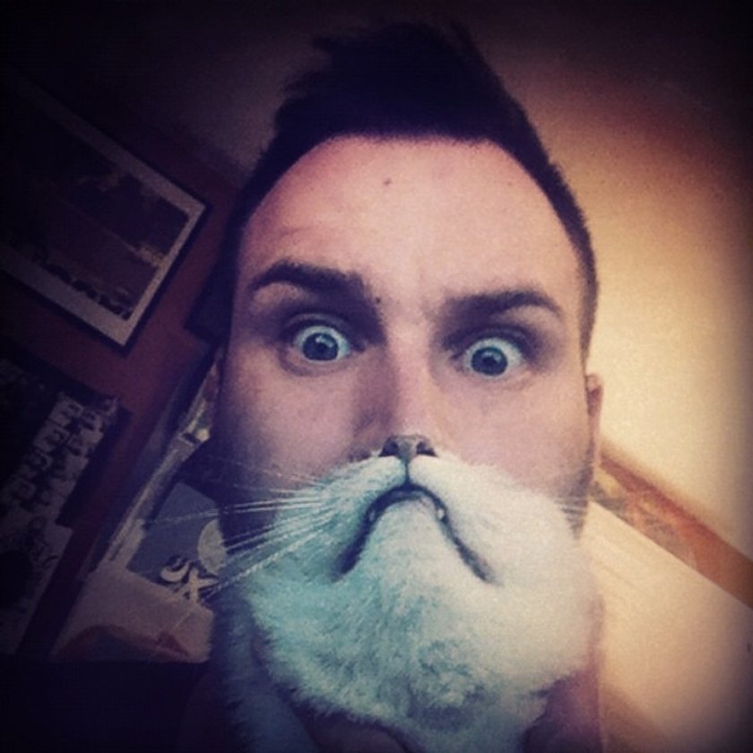 Cats Dogs Beards Kocio-psie brody