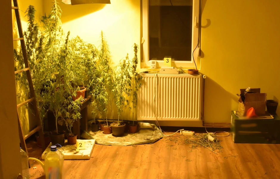 Improvizovana laboratorija u kući