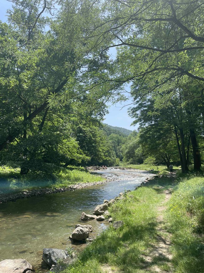 Kanjon reke Gradac