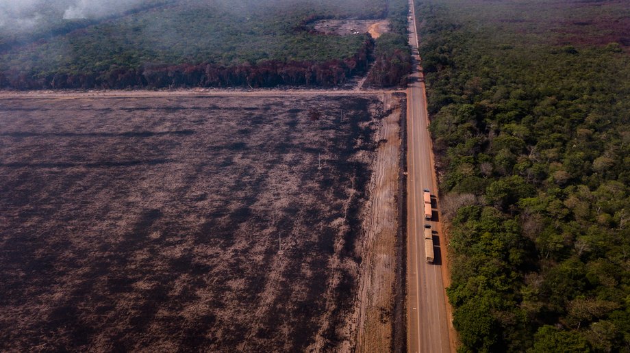 Okolice autostrady BR-163 w stanie Pará, w północnej Brazylii, w regionie Amazonii. Ten krajobraz to efekt pożarów.