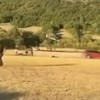 Konjičke trke
