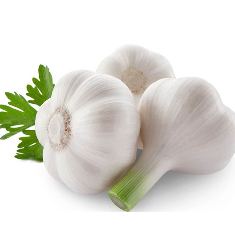 Nyers fokhagyma kúra