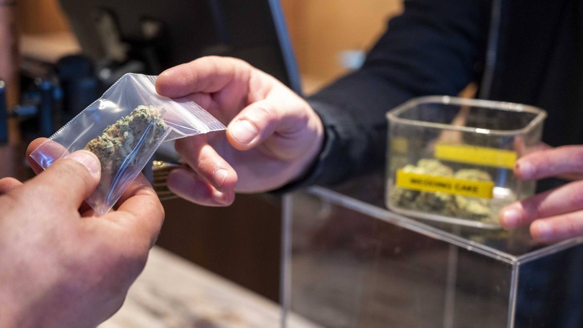 Marihuana tylko dla mieszkańców. Amsterdam nie chce już narkoturystów