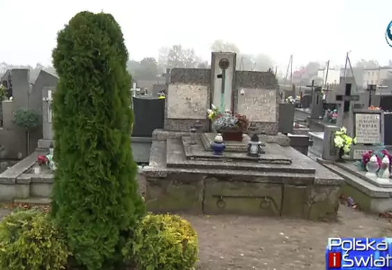 Kłopotliwe krzewy na cmentarzu. Co wam to przypomina?